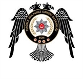 T.E.M.